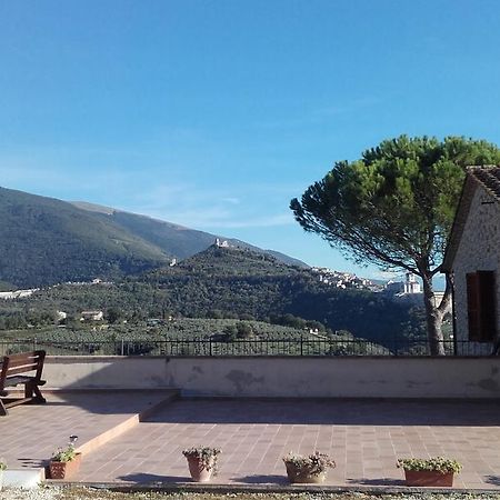 אסיסי B&B Colle San Francesco מראה חיצוני תמונה